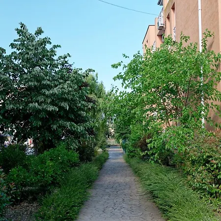 санни дэй-6 Daire *